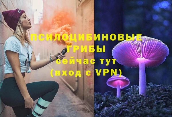 spice Володарск